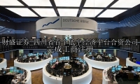 四川省首个低空经济平台合资公司完成工商注册