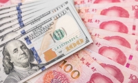 突然暴涨！光伏大消息！受到国内政策影响 窗口期出现抢装