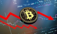 珠海中富：8月5日召开董事会会议