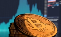 乐见更多中企来津投资布局 ——访津巴布韦信息媒体及广播服务部前副部长金德尼斯·帕拉扎